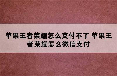 苹果王者荣耀怎么支付不了 苹果王者荣耀怎么微信支付